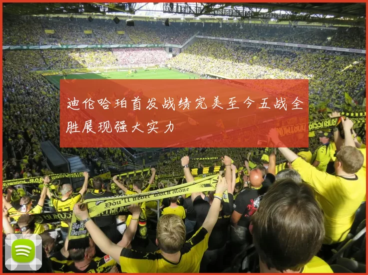 迪伦哈珀首发战绩完美至今五战全胜展现强大实力